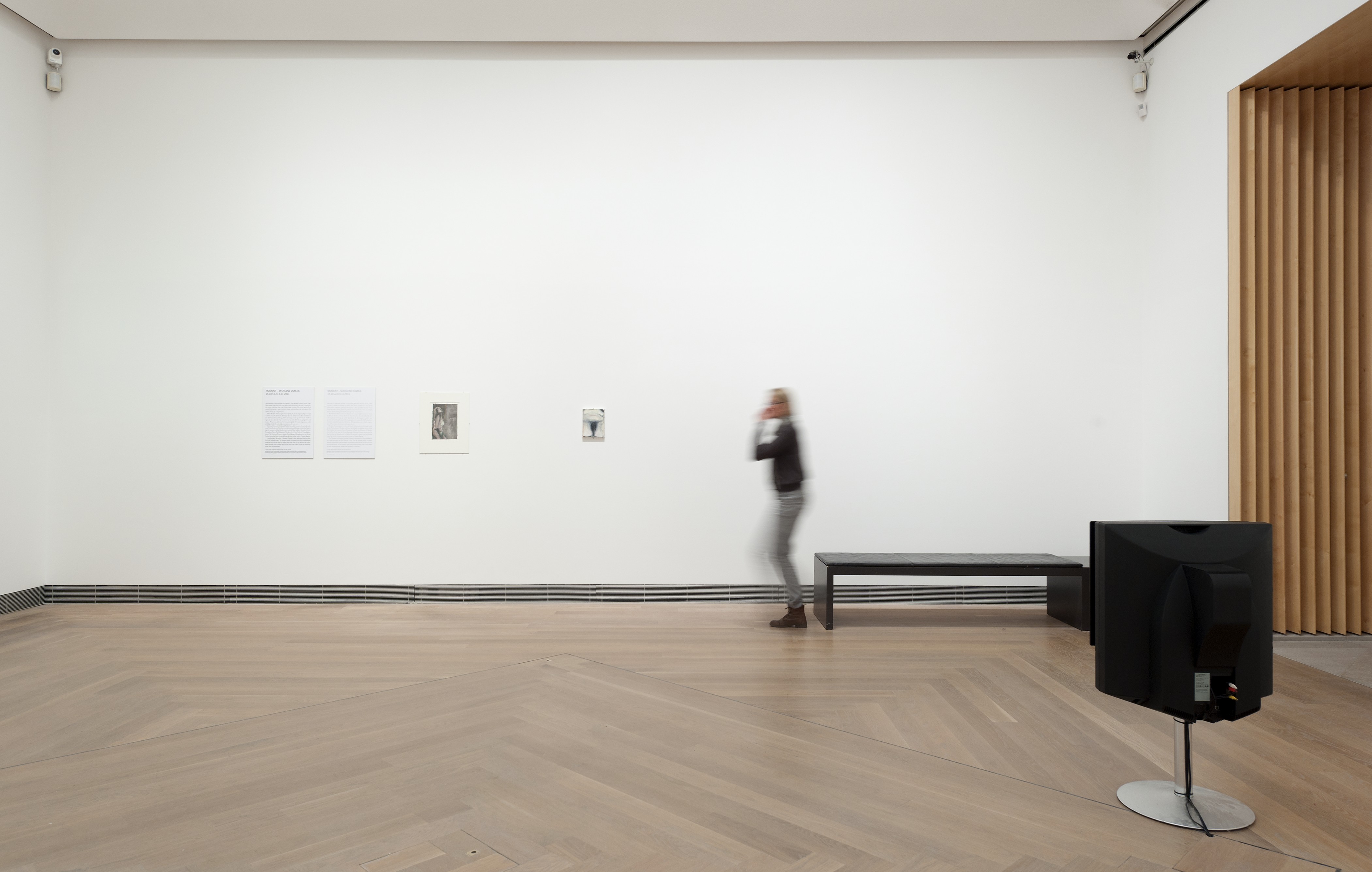 <i>Moment: Marlene Dumas</i>, Moderna Museet, Stockholm, Sweden, 2011 (Solo exhibition)